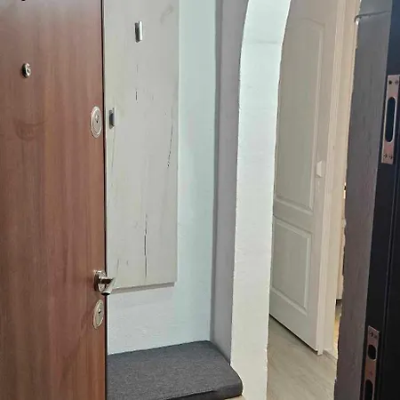 Hcl's * Timişoara